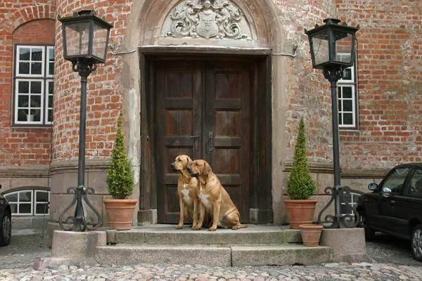 Broholm Castle Hotel Gudme Exterior photo